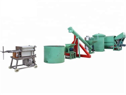 china palm oil extractor machine african palm fruit oil mill