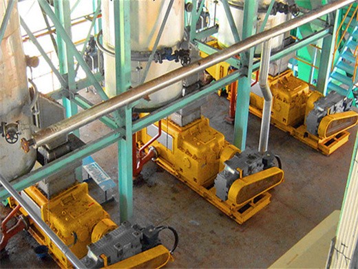 palm oil processing plant reliable supplier in indonesia