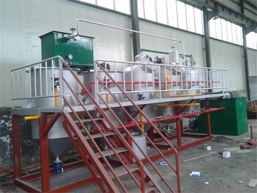 oil processing machine high oil yield cold press palm in Indonesia