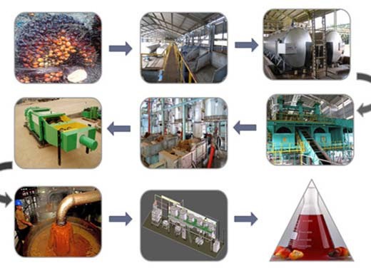 The Netherlands palm oil refinery process