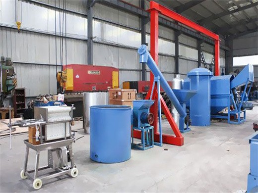 super quality palm oil extraction machine in kolkata price