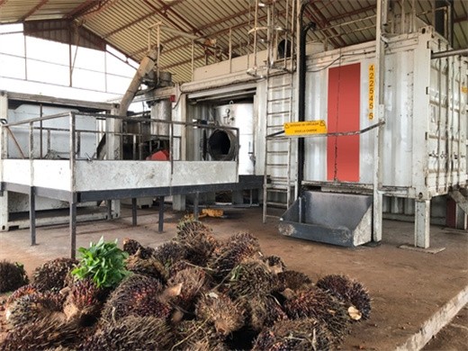 leading technology palm fruit oil processing machine detail in Baghdad