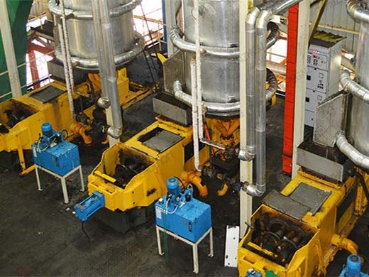 high quality palm oil screw press machine high quality in Benin