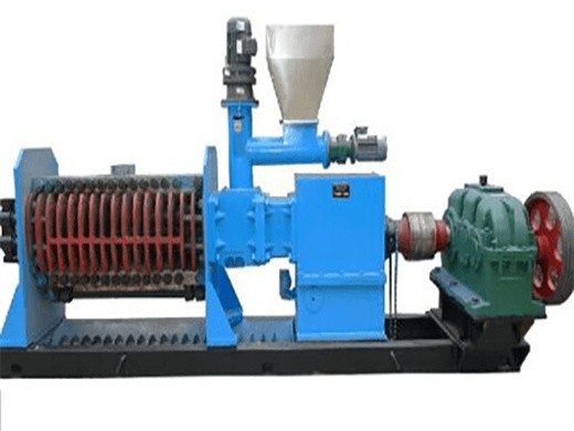 quality palm oil extraction machine price in algeria