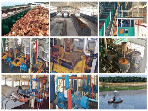 Liberia palm oil mill watawala plantations plc