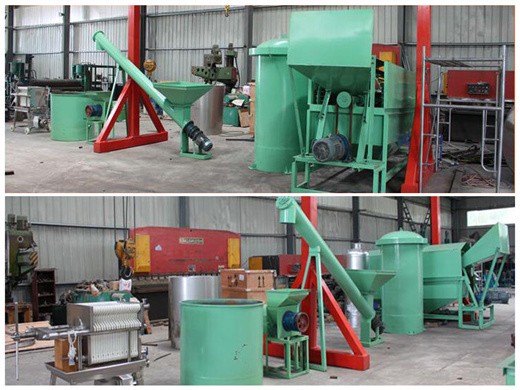premium design of palm oil press machine milling process with cost evaluation