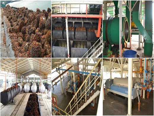 palm oil refining and palm oil fractionation processing in Khasab