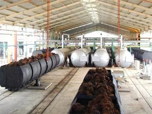 best factory for 5t/h palm oil processing machine in peru