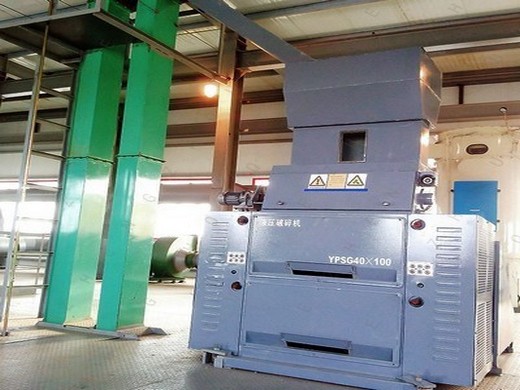 rice bran oil press machine production line manufacturer from new delhi