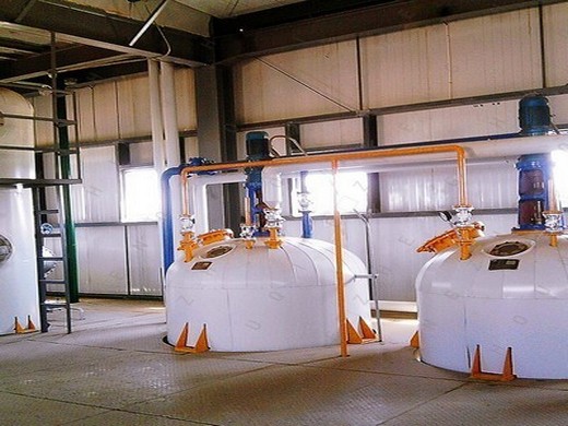 6yl-95 rice bran oil extraction machine price plant from Mozambique