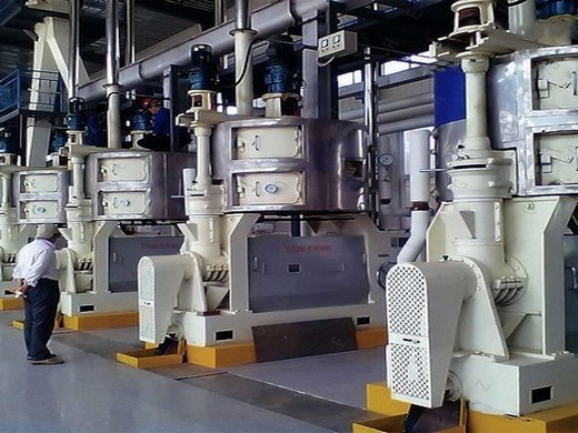 The USA oil pressing plant oil pressing plant suppliers