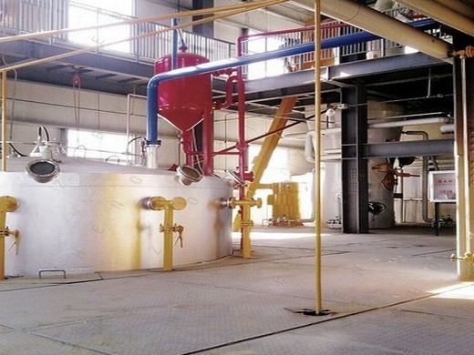 steps of peanut oil production line – oil-processing in Guyana