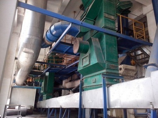 small canola oil pressing line – best screw oil press in Burkina Faso