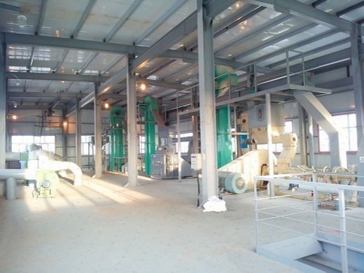 big peanut oil press machine production line in egypt