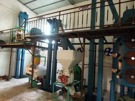 sunflowe oil production line biscaas in mexico