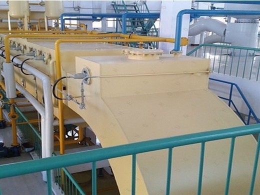 10tpd soya / peanut oil producing plant in togo