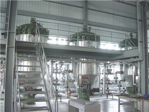 in mozambique large capacity hydraulic walnut sesame oil production line