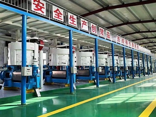 rice bran oil mill plant with rice bran oil machine in china