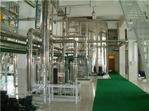 100tpd dinter cold press oil expeller line in mexico
