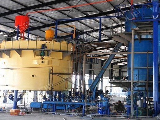 hot sale peanut oil plant machinery with iso ce bv of cameroon