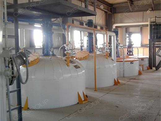 Mozambique 50tpd rice bran oil refinery dewaxing plant