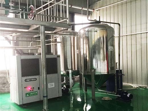 superior edible oil edible oil refining equipment in Naxçıvan