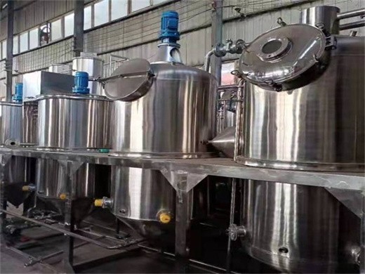 dingsheng factory price rice bran oil refining equipment in Aşgabat