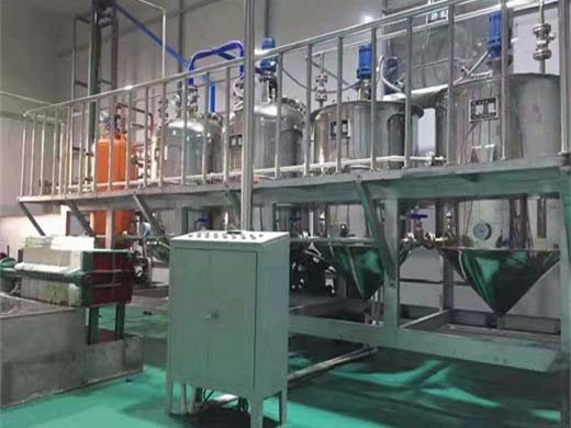 we are professional manufacturer of groundnut oil refinery